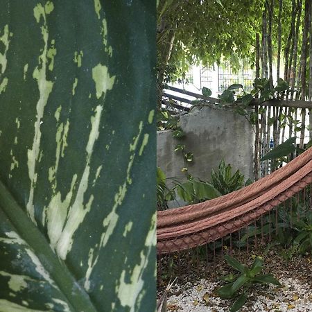 Wabi Sabi Garden Guesthouse By Amara Concepts. Tulum Exterior photo